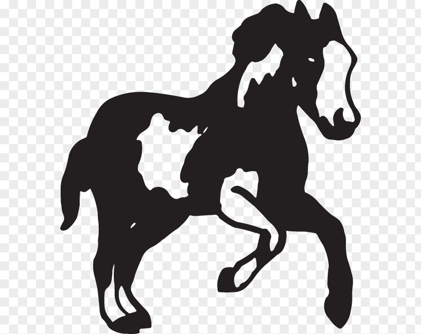 Mustang American Paint Horse Decal Pony Stallion PNG