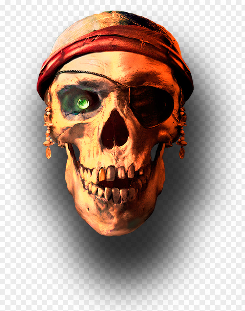 Pirate Skull APUS Group Jolly Roger PNG