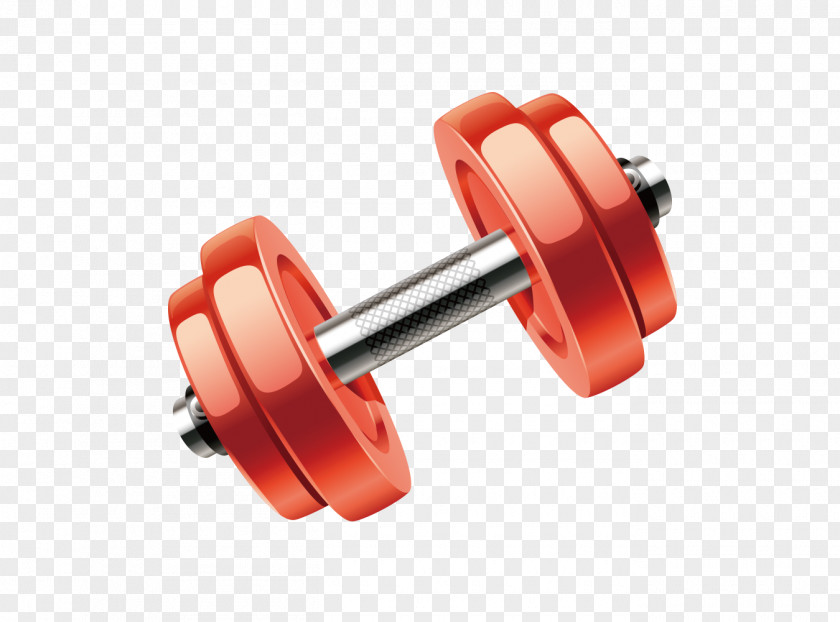 Wheel Exercise Equipment Weights Dumbbell PNG