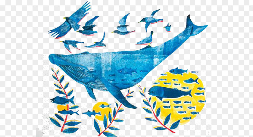Blue Whale Visual Arts Illustrator Illustration PNG