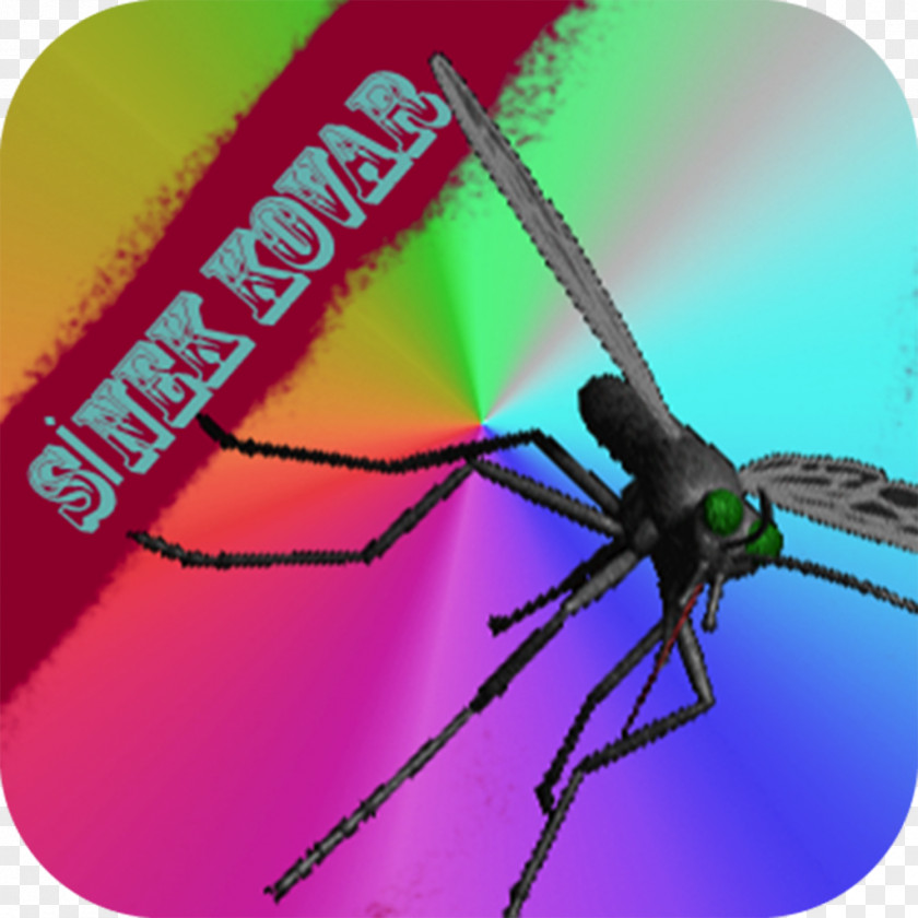 Mosquito App Store IPod Touch Apple Insect PNG
