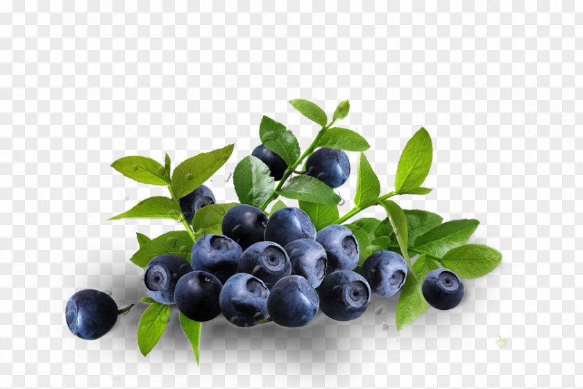 Blueberry Dietary Supplement Eye Zeaxanthin Lutein Antioxidant PNG
