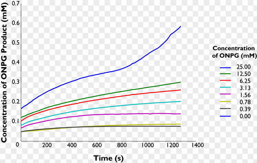 Line Document Graphic Design Angle PNG