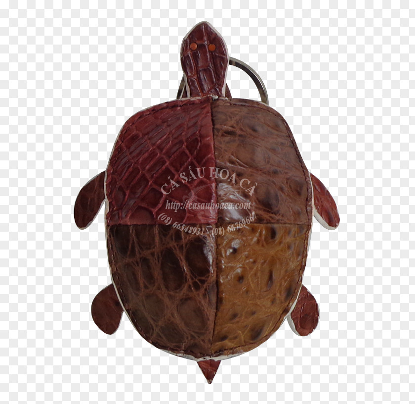 Rua Tortoise Pond Turtles Maroon PNG