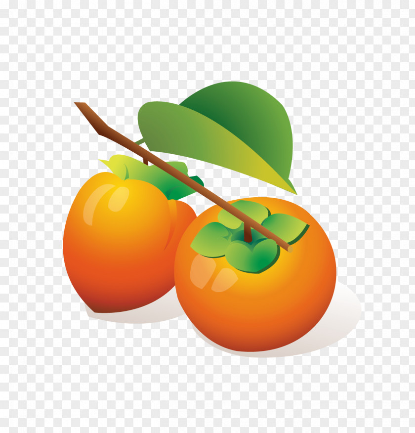 Tomato Persimmon Cartoon Orange PNG