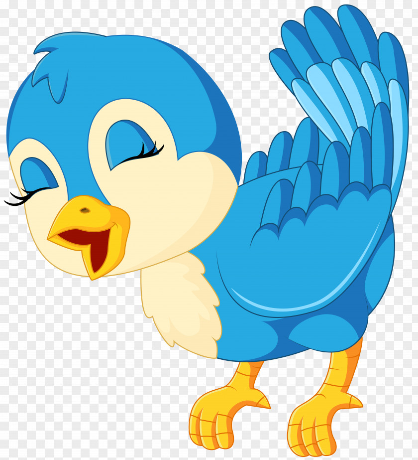 Bird Clip Art Beak Cartoon PNG
