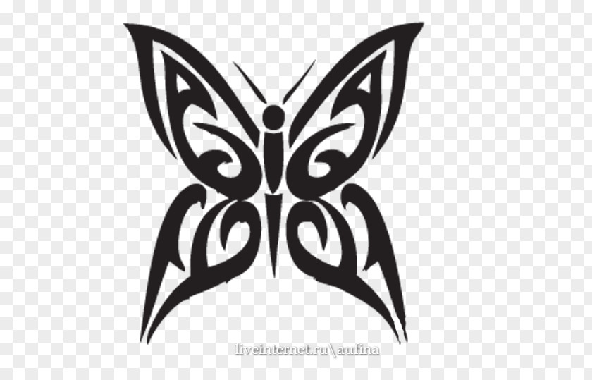 Butterfly Celtic Knot Tattoo PNG
