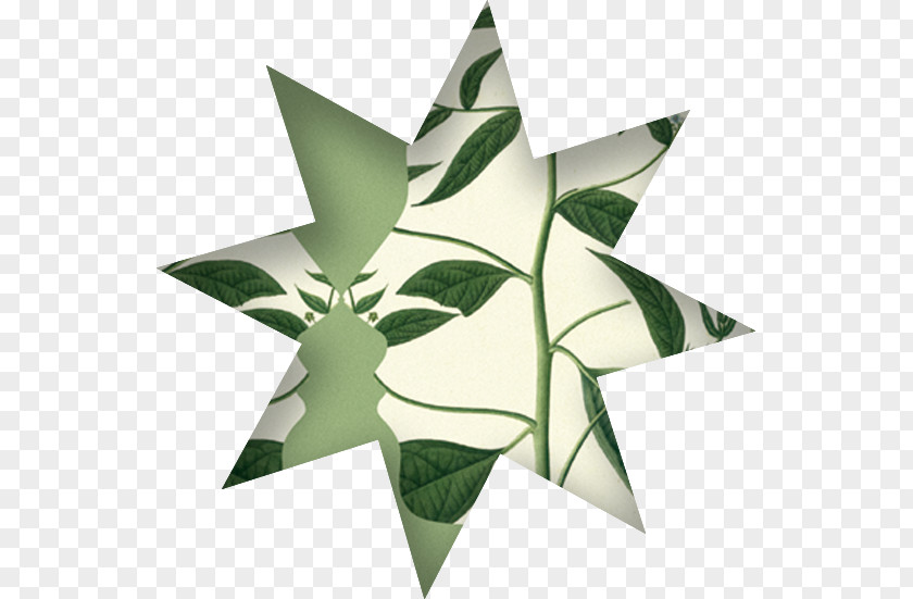 Cultural Festival Paper Leaf Origami Symmetry Art PNG
