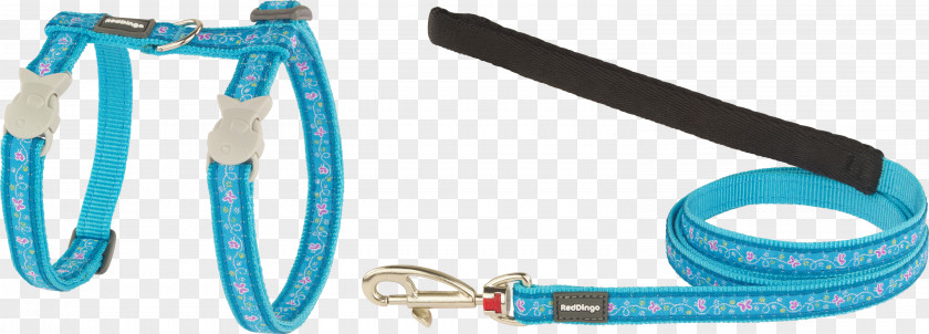 Dog Dingo Leash Cat Food PNG