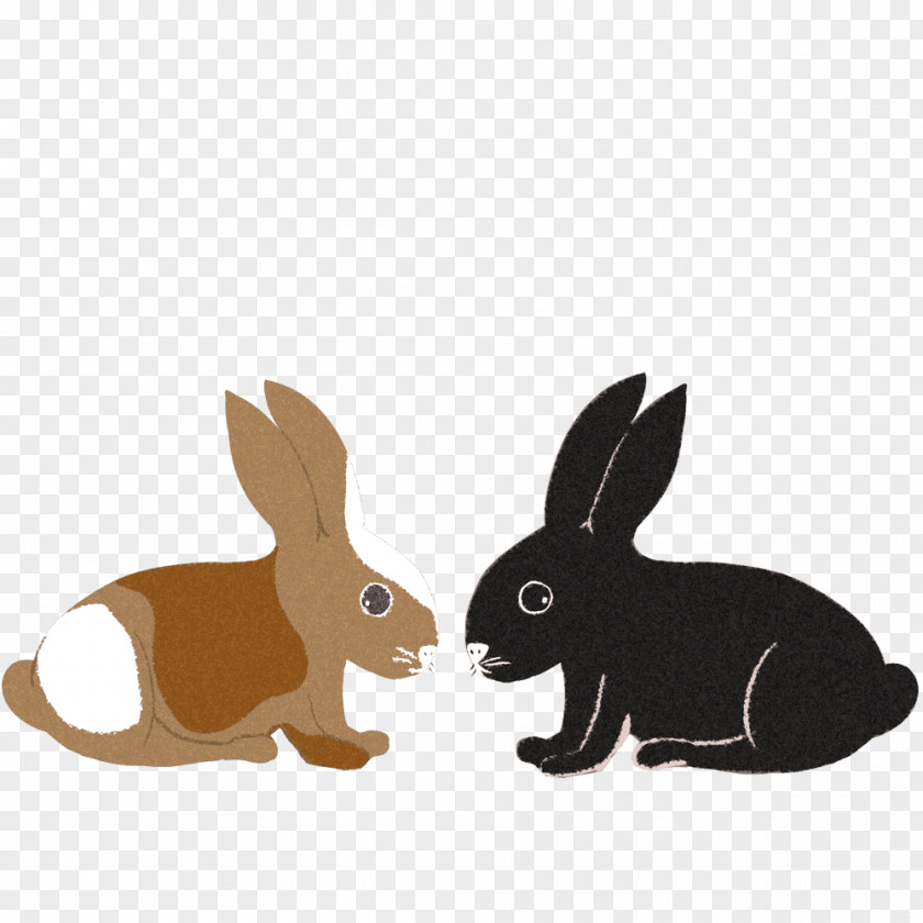 Rabbit Domestic Hare White Animal PNG