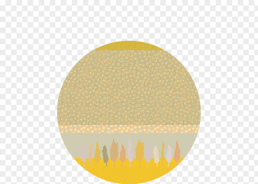 Yellow Brown Eid Circle PNG