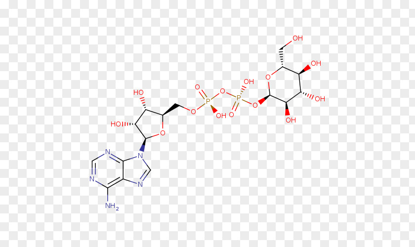 Amylopectin Adenosine Monophosphate Chemical Compound Human Metabolome Database Purine PNG