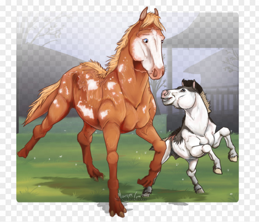 Hand Painted Grass Mustang Pony Drawing Mare Stallion PNG