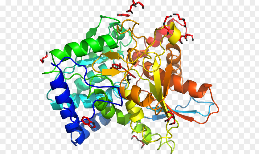 MAP3K7 Gene Mitogen-activated Protein Kinase Data Bank PNG protein kinase Bank, Cystathionine Beta Synthase clipart PNG