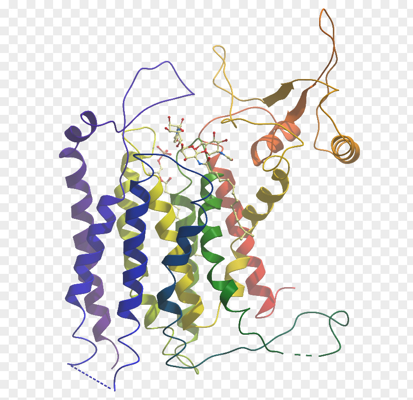 Poly Adpribose Polymerase Demethylase Structure Structural Genomics Consortium NTT Data Engineering Systems Corporation Amine Oxidase PNG