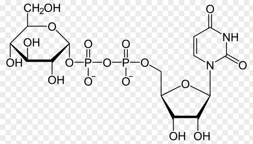 Uridine Diphosphate Glucose Monophosphate Triphosphate PNG