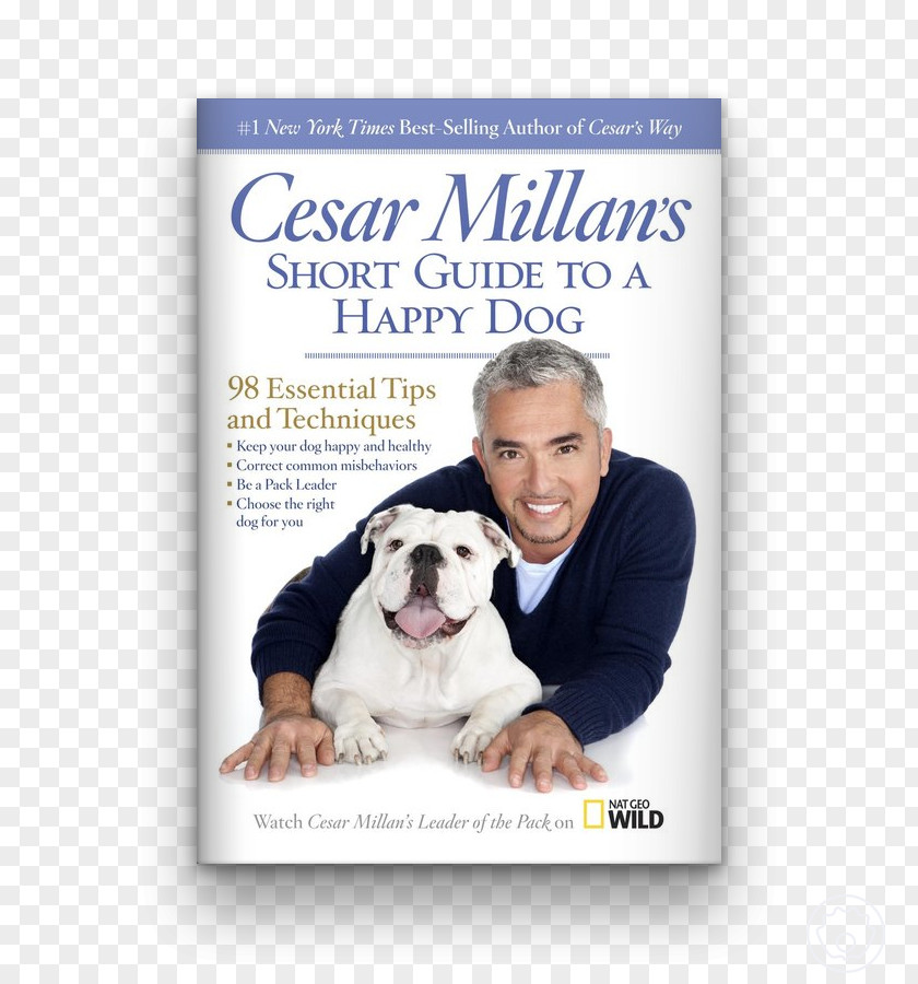 Book Dog Whisperer With Cesar Millan Millan's Lessons From The Pack: Stories Of Dogs Who Changed My Life Cesar's Way Be Pack Leader PNG