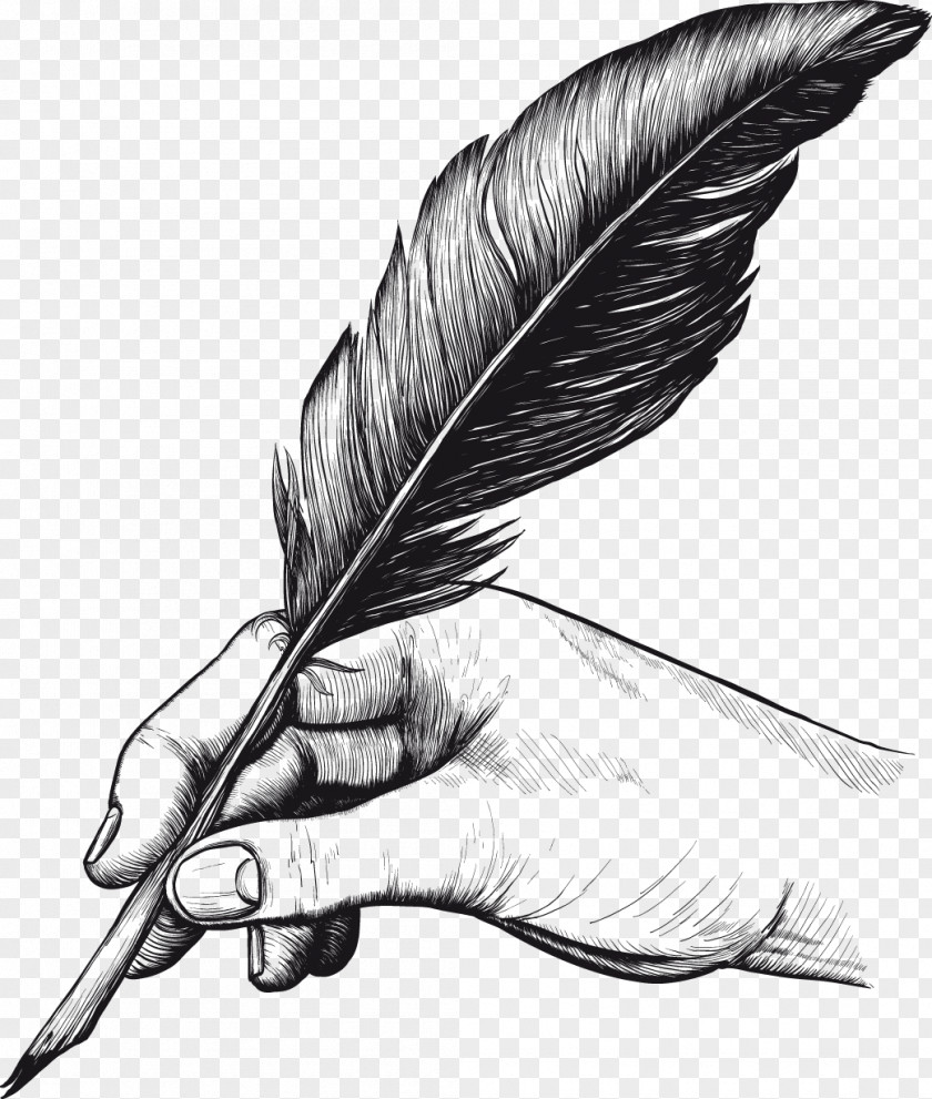 Feather Quill Pens Drawing Clip Art PNG