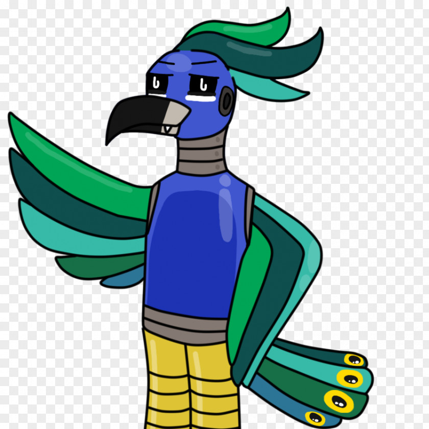 Peacock Fan Beak Macaw Cartoon Clip Art PNG