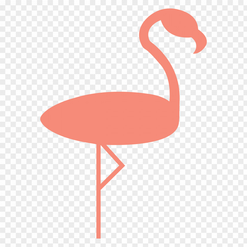 Bird Greater Flamingo Vertebrate PNG