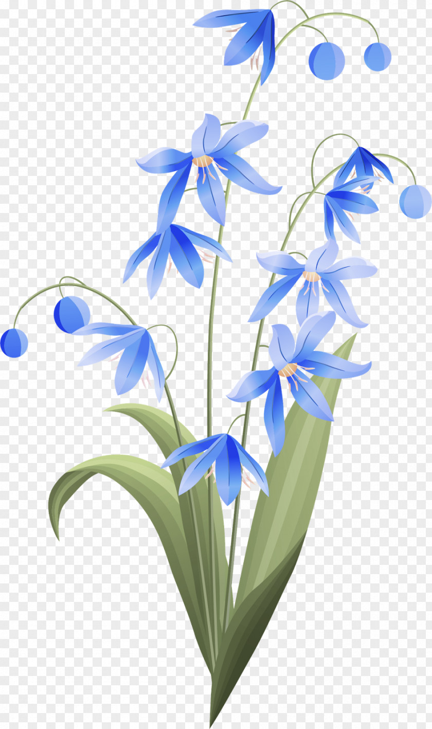 Floral Design PNG