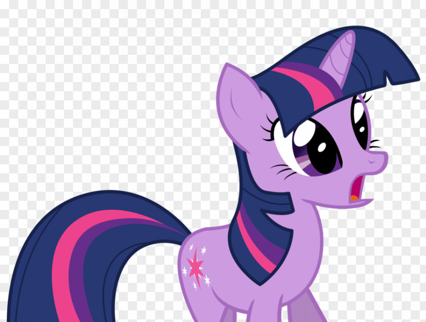 My Little Pony Twilight Sparkle Pinkie Pie Rainbow Dash Cartoon PNG