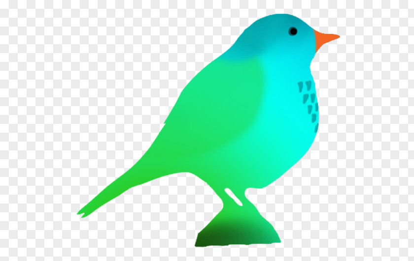 Pink Bird Hummingbird Parrot Color Clip Art PNG