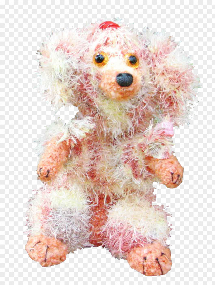 Puppy Miniature Poodle Toy Standard PNG
