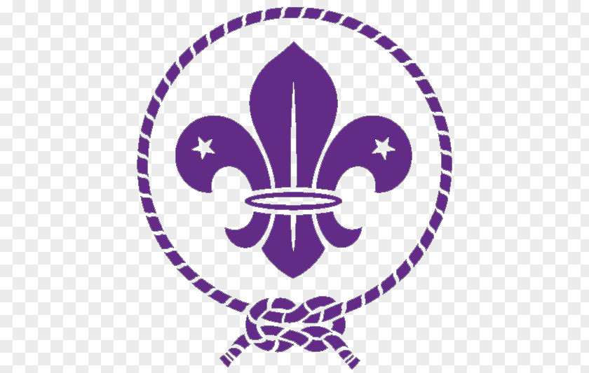 Scouting For Boys World Organization Of The Scout Movement Emblem Fleur-de-lis PNG