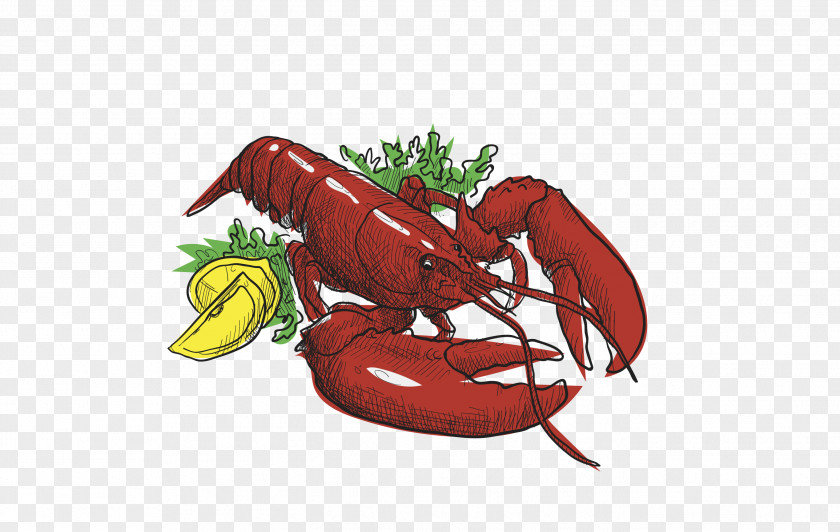 Seafood American Lobster Fish As Food PNG lobster as food, red clipart PNG
