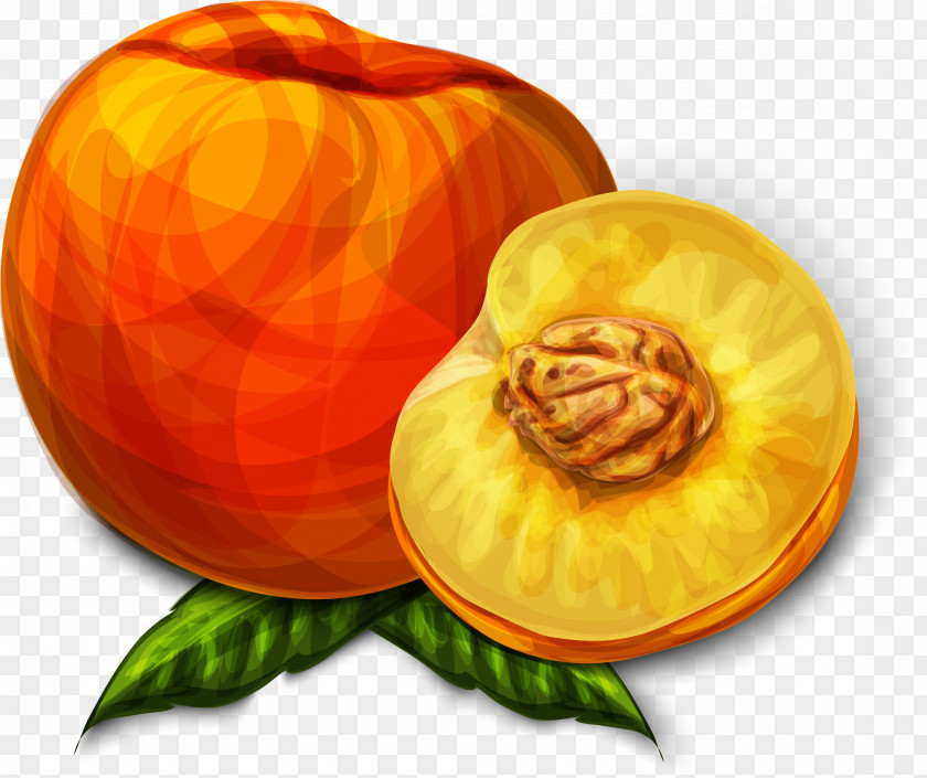 Vector Hand Painted Peach Juice PNG