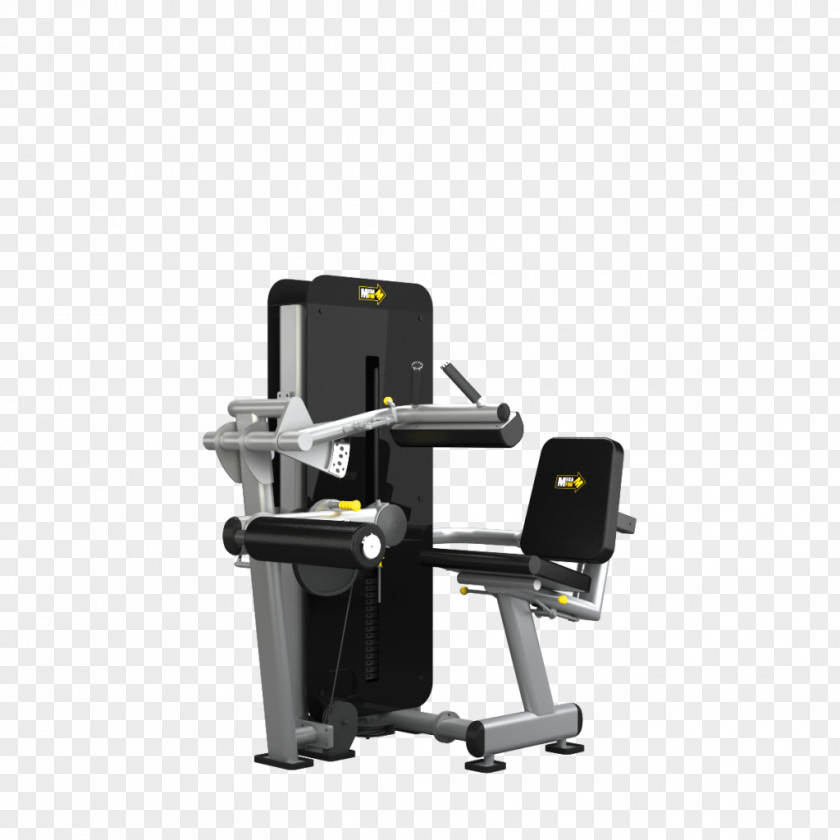 Bodybuilding Squat Exercise Bench Press Fitness Centre PNG