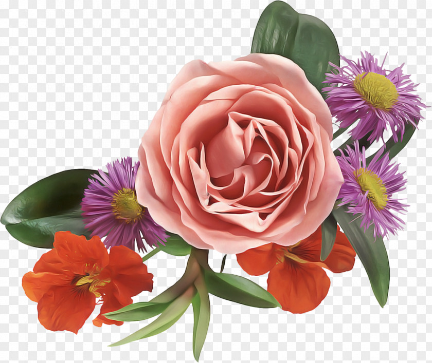 Garden Roses PNG