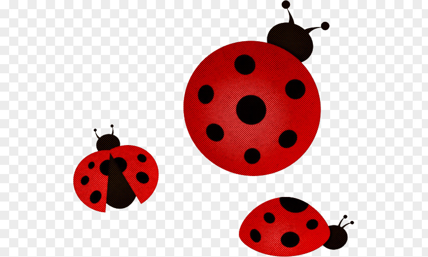 Ladybird Beetle Beetles Computer Icon Cartoon PNG