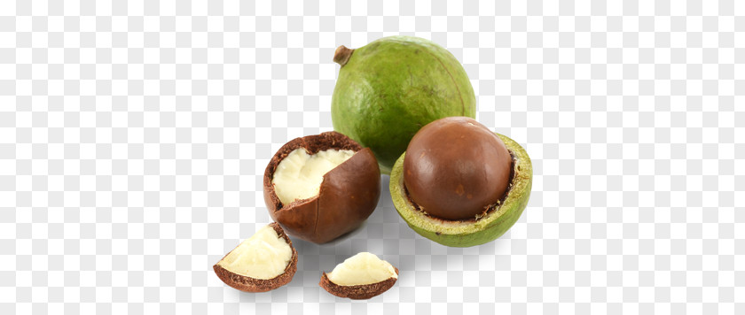 Oil Macadamia Nut Banana Bread PNG