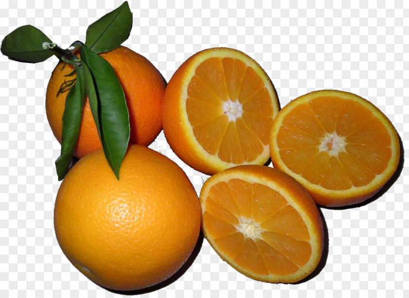 Orange Blood Tangelo Tangerine Clementine PNG