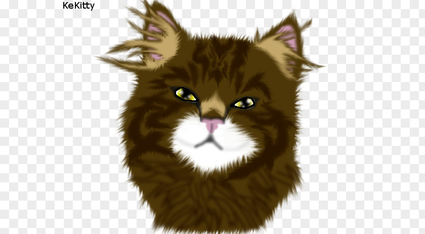 Realistic Cat Drawings Whiskers Maine Coon Norwegian Forest Wildcat Fur PNG