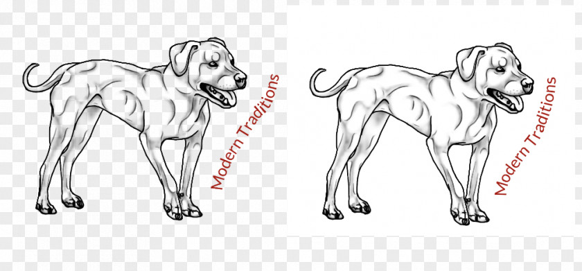 Straditional Culture Dog Breed Line Art Drawing Sketch PNG