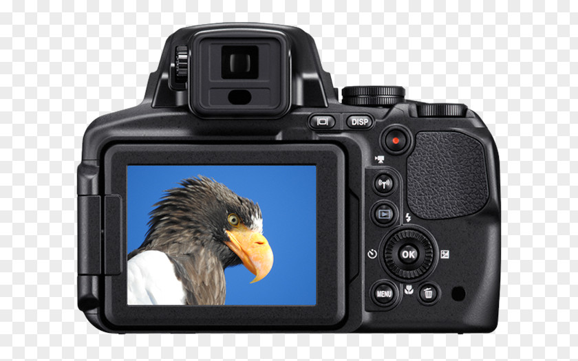 Camera Point-and-shoot Bridge Nikon 83x Optical Zoom PNG