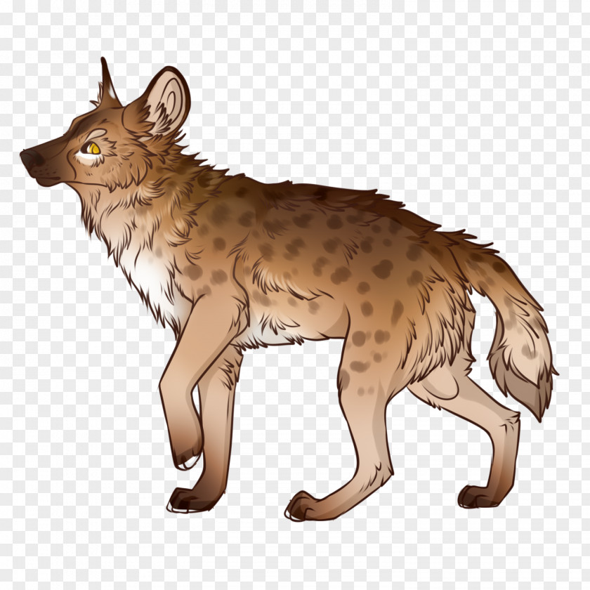 Cat Coyote Red Fox Jackal Wolf PNG