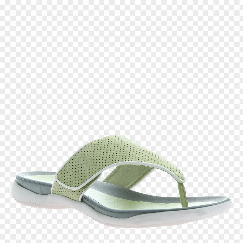 Design Flip-flops Shoe PNG