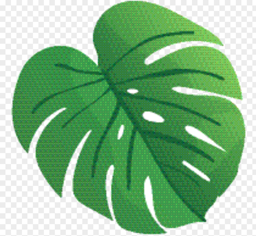 Shamrock Logo Green Leaf PNG