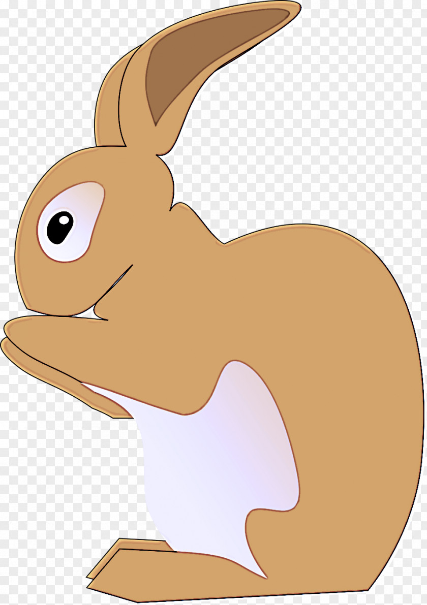 Squirrel Tail Cartoon Rabbit Hare Rabbits And Hares Domestic PNG