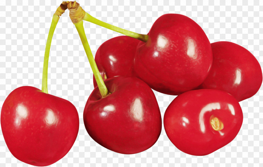 Superfruit Flowering Plant Cherry Fruit Natural Foods Food PNG