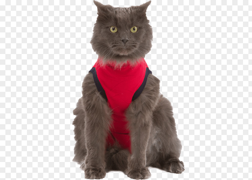 T-shirt Cat Amazon.com Dog Clothing PNG