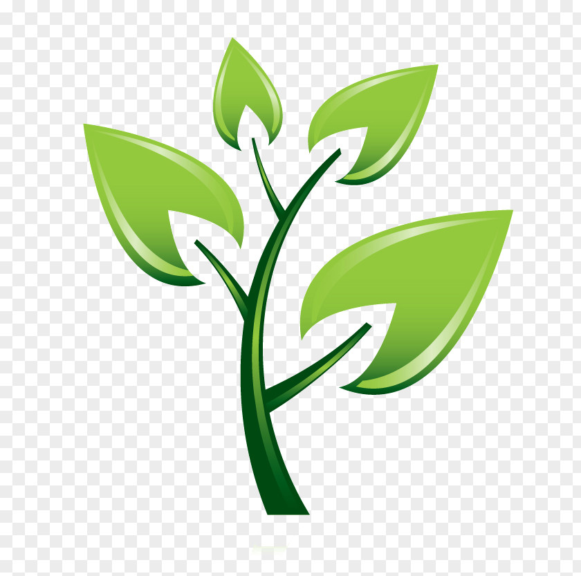 Tree Trees And Shrubs Planting Montrose Services Clip Art PNG