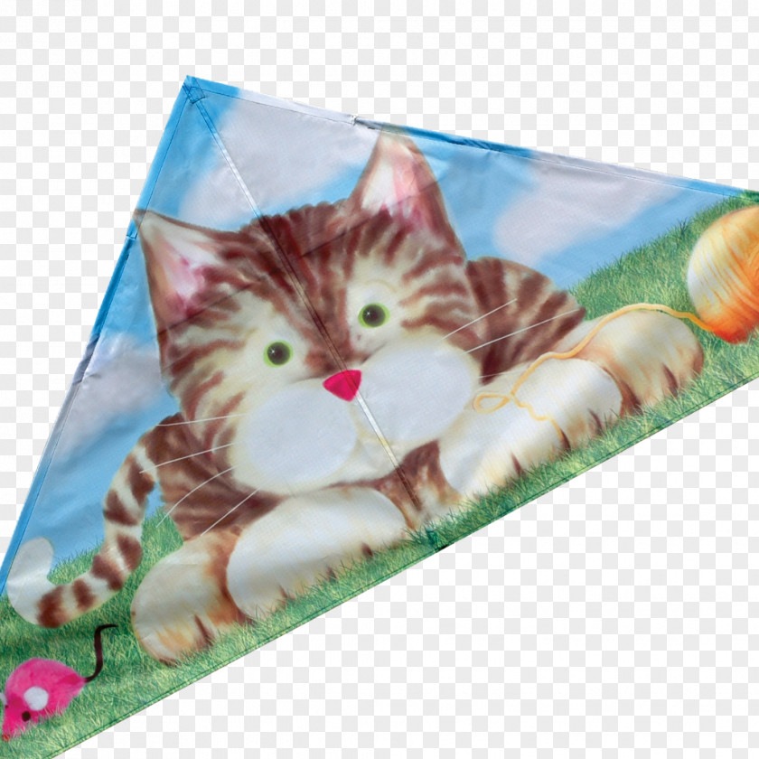 Exotic Flyer Cat Kite Kitten Delta Air Lines Jack Russell Terrier PNG