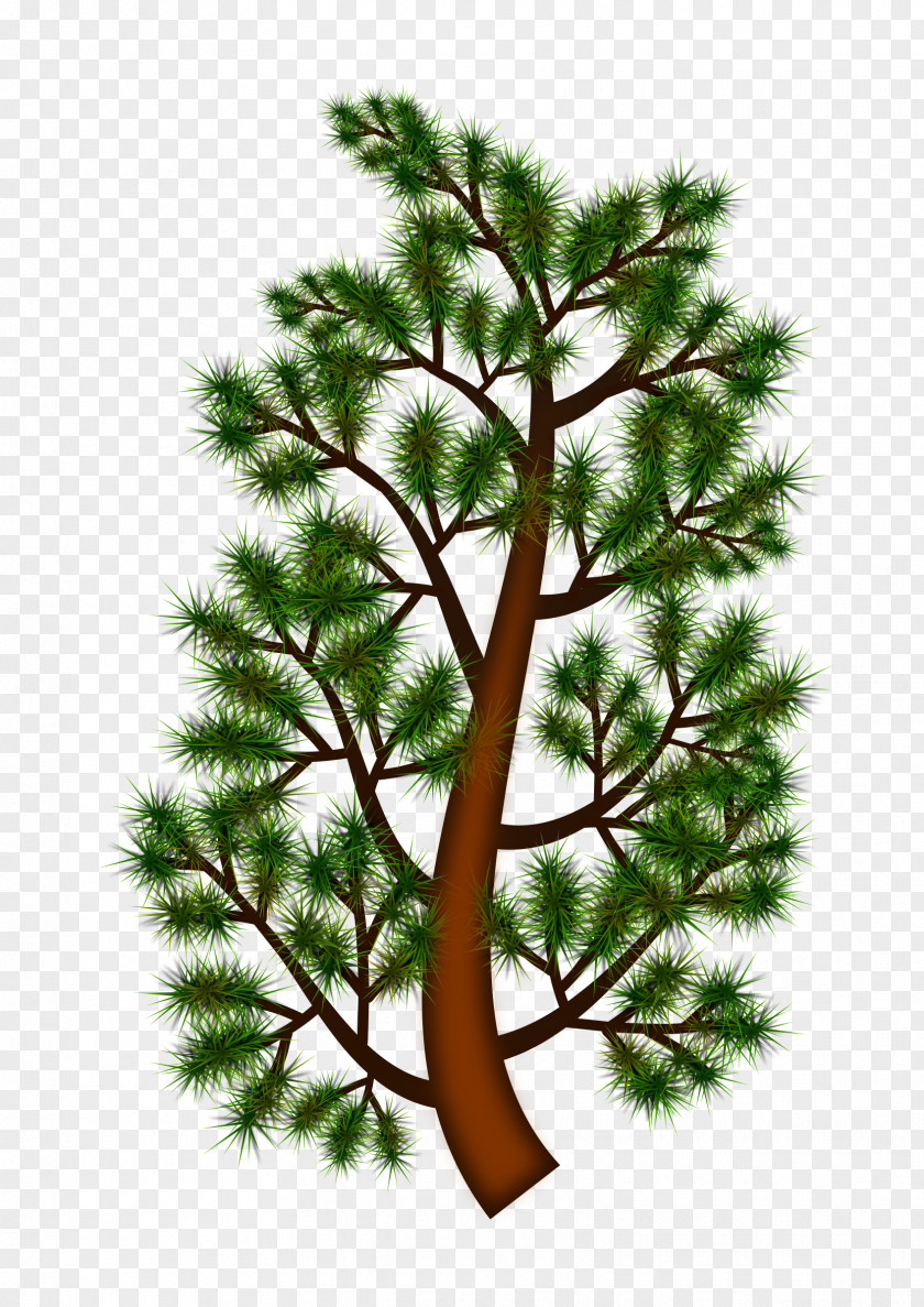 Pine Branch Tree Clip Art PNG