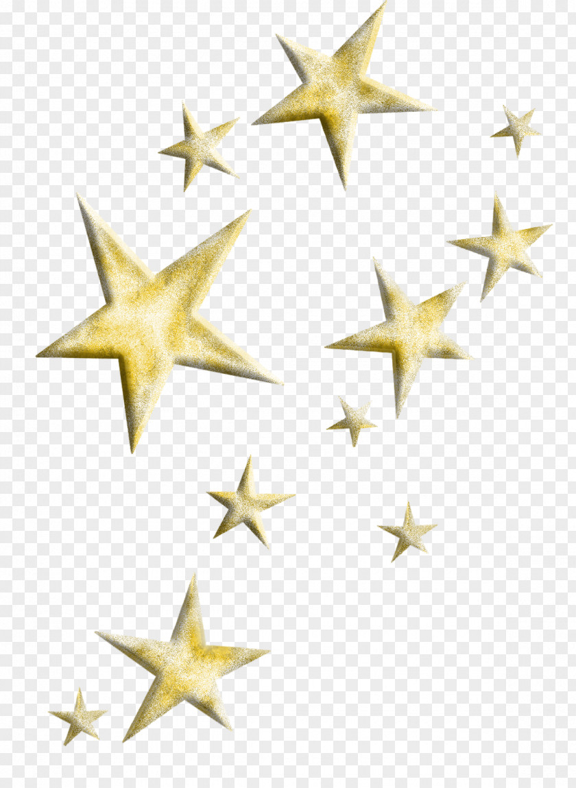 Star Starfish PNG