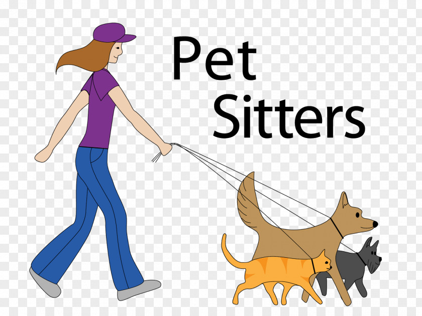 Cat Pet Sitting Labrador Retriever How To Start A Home-Based Pet-Sitting And Dog-Walking Business PNG